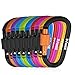 D-FantiX Aluminum Carabiner Keychain, Locking Carabiner Clip Outdoor Camping Equipment Pack of 10