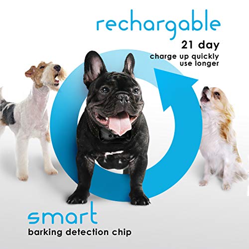 dogrook no bark collar