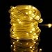 Solar Rope Lights, 33ft, Waterproof, 100leds, 1.2 V, Portable, with Light Sensor, Outdoor Rope Lights, Ideal for Christmas, Wedding, Party (Warm White)