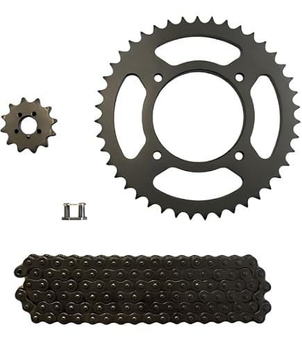 Amazon.com: Caltric 23801-MKP-D00 41201-MGZ-D00 Front Drive Chain