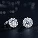 Bamoer Cubic Zirconia Platinum Plated Flower Design Round Stud Earrings