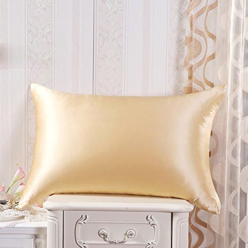 Cozysilk Silk Pillowcase for Hair and Skin - 19mm Silk Pillow Cover Pillow Case - Hypoallergenic with Hidden Zipper Closure -Top Grade Silk on Both Sides, Queen Size 20"x30", Champagne