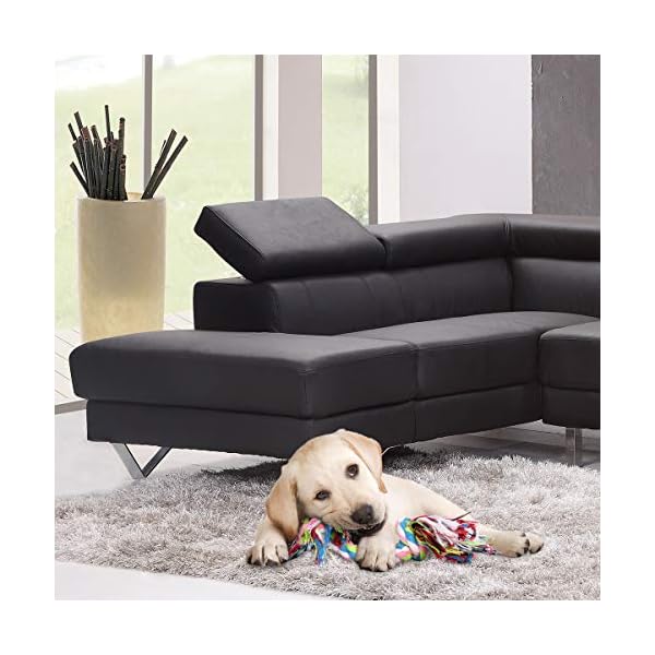 WeFine-Puppy-Dog-Chew-Toys-Teething-Training10pcs-Dog-Rope-Toys-100-Natural-Cotton-Rope-for-Small-and-Medium-Dog WeFine Puppy Dog Chew Toys Teething Training, 10pcs Dog Rope Toys 100% Natural Cotton Rope for Small and Medium Dog