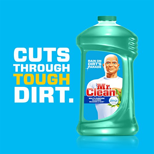 Mr. Clean Liquid All Purpose MultiSurface Cleaner Meadows and Rain