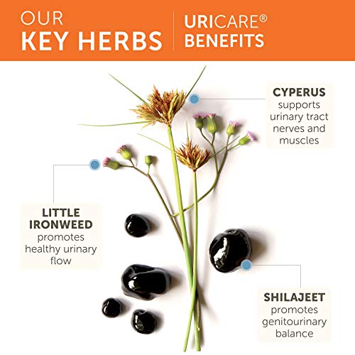 Himalaya UriCare Herbal Supplement, Kidney Support, Bladder Support