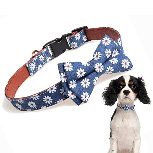 large dog collar with bow