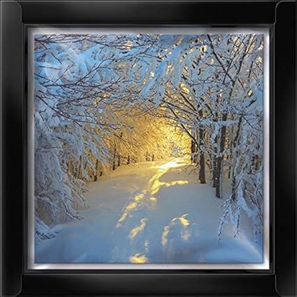 Immagini Innevate Natalizie.Darkroom Biglietti Di Auguri Natalizi Con Dettagli In Glitter Motivo Bosco Innevato Lingua Ingl Amazon It Cancelleria E Prodotti Per Ufficio