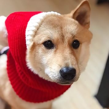 Amazoncom Metermall Pet Supplies For Warm Lovely Autumn