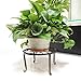 Mid Century Plant Stand - Indoor Plant Stand - Rockbirds Adjustable Modern Indoor Plant Holder Width 8'' to 12'' Planter (Plant and Pot Not Included)