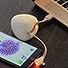 iPors Lightning Charger Mirco USB Cord Silicone Egg Bag USB Cable for iPhone 6s 6 Plus 5s 5c 5, iPad Pro, Air 2, iPad Mini 4 3 2, iPod Touch 5th Gen / 6th Gen / Nano 7th Gen (White)