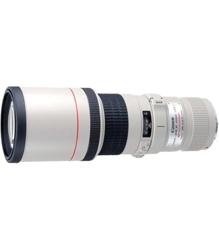 Amazon.com : Canon EF 400mm f/5.6L USM Super Telephoto Lens for