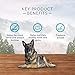 Blue Buffalo Wilderness Wild Bones Grain-Free Dental Chews Dog Treats, Medium, 10-oz Bag