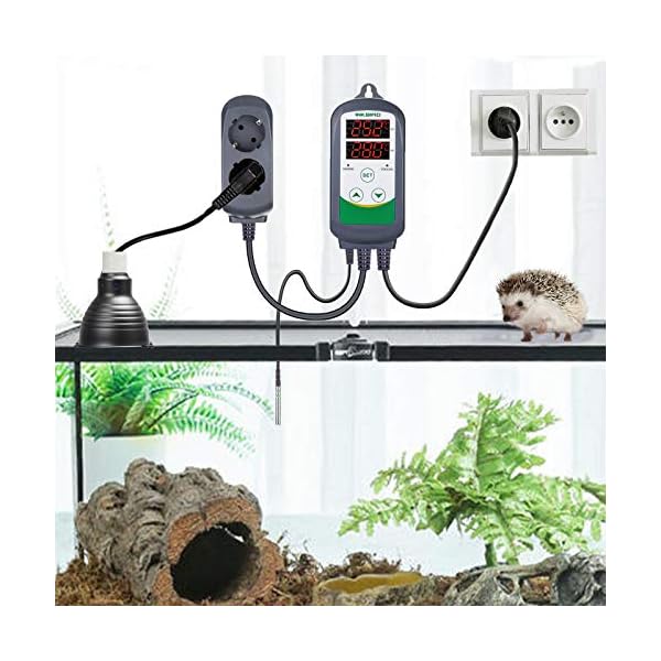 Inkbird ITC-308 Digitaler Temperaturregler mit fÃ¼hler, Heizen KÃ¼hlen Temperaturschalter, 230V Thermostate – Bild 3
