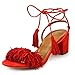 Comfity Women's Lace Up Block Heel Fringed Suede Dress Sandals
