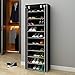 Function Home 10-Tier Shoe Rack with Dustproof Cover 30 Pair Shoe Organizer Shoe Rack Tower Zippered Storage Shoe Cabinet Ideal for Hallway Corridor (Black)