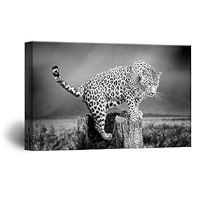 Canvas Wall Art - A Leopard in The Wild - Giclee Print Gallery Wrap Modern Home Art Ready to Hang - 12x18 inches