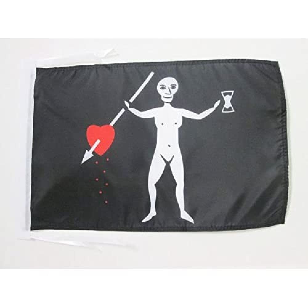 AZ FLAG - Pirate John Quelch Flag - 18'' x 12'' - 100% Polyester skull Pirates Small Banner with Two Cords - Fade Resistant - Vivid Colors - 18x12 in - 45x30 Cm — image 1