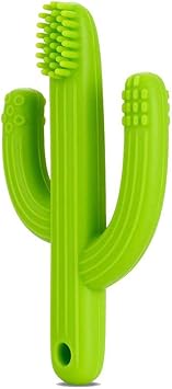 cactus teether target