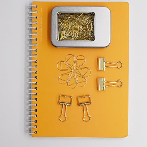 100 Pcs Paper Clips and 10 Pcs Binder Clips Assorted Size Gold Clips with Storage Case