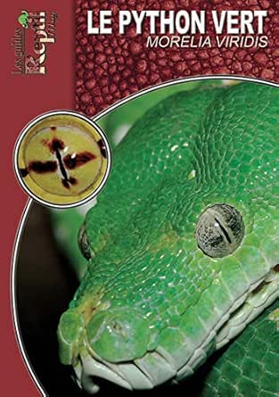 Le Python Vert Morelia Viridis French Edition Kindle Edition By Arth Steven Crafts Hobbies Home Kindle Ebooks Amazon Com