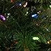 YULETIME 66 Feet 200 Count Color Changing LED String Lights with 10 Modes Remote Control, Warm White/Multicolor Variable Color Christmas Lights (Grass Green)