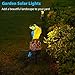 Solar Garden Lights Parrot Sculpture Solar LED Lights Powered by Solar Outdoor Adjustable Solar Panel for Garden Courtyard Home Decoration, Warm White (Blue&Yellow)