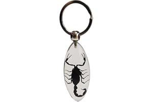 FlyingBean KeyChain With Real Insect Specimens, Animal Taxidermy Collection, KeyRing Crafts