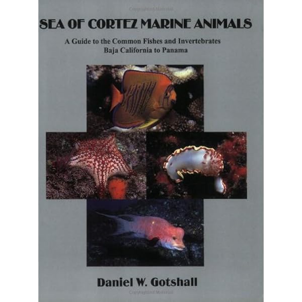 harry's marine life facebook