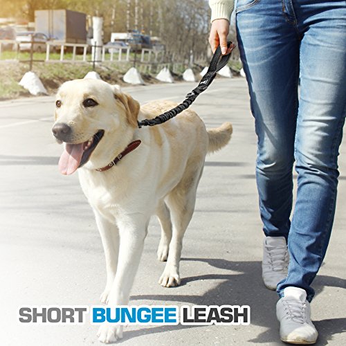 3 in 1 Short Dog Leash - Shock-Absorbing Bungee with Padded Handle - Elastic Attachment for Your Regular Leash, Control Handle, or Traffic Leash – Suitable for Medium and Large Dogs (Black New)