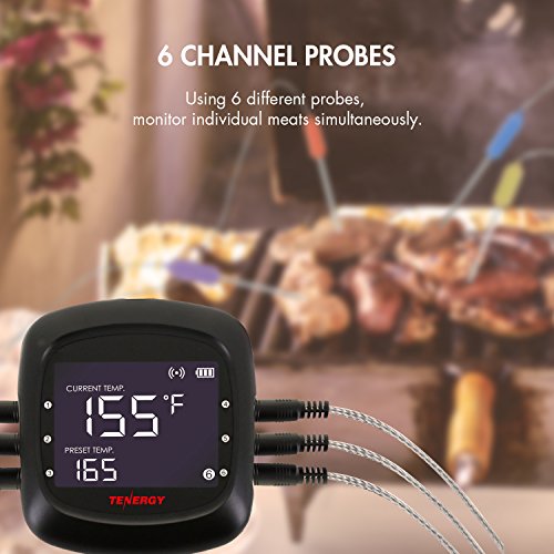 Tenergy Solis Digital Meat Thermometer, APP Controlled Wireless