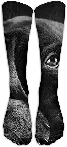 Long Tube Sock High Sports Stockings Sad Labrador Dog