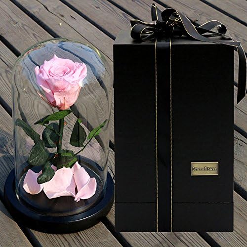 The Little Prince Preserved Rose Flower, Live Forever Rose, Live Enchanted Rose, Eternal Unwithered Natural Real Rose in Glass Dome Cover with Gift Box Cover (Pink)