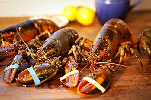 Get Maine Lobster - Live Maine Lobsters (8 each 1.1-1.2 LB)