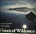 Visions of wilderness: A photographic essay - Book by Dewitt Jones