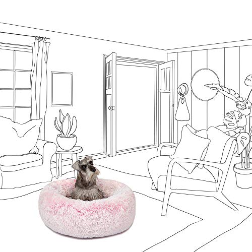 friends forever dog bed medium