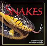 Snakes by 