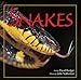 Snakes by 