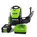 Greenworks 80V 145MPH - 580CFM Cordless Backpack Leaf Blower, 2.5Ah Battery and Charger Included BPB80L2510 primary