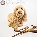 6 Inch Bully Sticks, 12 Pack - Majestic Pet All Natural Dog Chews-Healthy Nutritious Treats-Free Range-No Hormones or Chemicals, Low Odor-Long Lasting for Canine Health