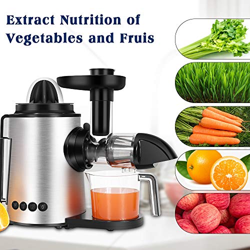 Sagnart Masticating Juicer Slow Juicer Extractor Cold Press Juicer