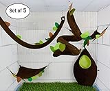 BEST SELLING CAGE SET 2018! PREMIUM QUALITY! 5 Pcs Cute Little Exotic Pets Sugar Glider Hedgehog Hamster Squirrel Critter Pouches Rope Hanging Sheet Cage Set