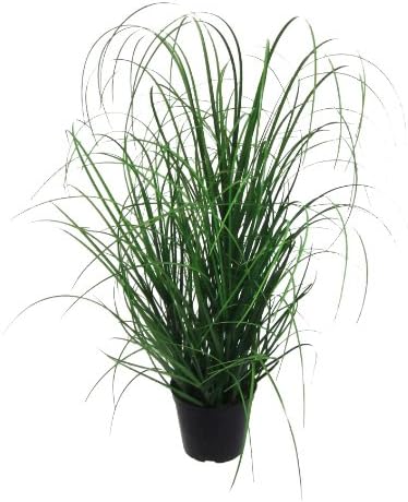 Artificial Plant, Grass Plant Including Pot, 27,5"