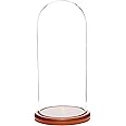 Plymor 5.5" x 13" Glass Display Dome Cloche (Walnut MDF Base)