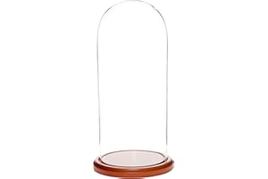 Plymor 5.5" x 13" Glass Display Dome Cloche (Walnut MDF Base)