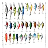 LotFancy 30 PCS Fishing Lures for Freshwater, Bass Lures, Length From 1.57 to 3.66 Inches