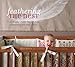Feathering the Nest: Tracy Hutson's Earth-Friendly Guide to Decorating Your Baby's Room - Book by Tracy Hutson