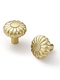 JIASENBAO Brushed Gold Cabinet Knobs 5 Pack Brass