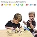 MISCY 3D Puzzle Arts Projects Craft Wood 3D Puzzles for Kids Ages 3+,Especially for 6-8 &up Assemble Paint DIY Animal Crafts Butterfly