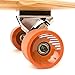 Ten Toes Board Emporium Zed Bamboo Longboard Skateboard Cruiser, 44