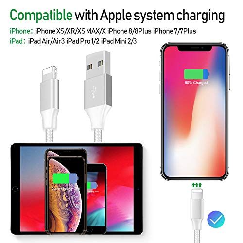 iPhone Charger, MFi Certified Lightning Cables 5Pack 2x3FT 2xFT 10FT to USB Syncing Data and Nylon Braided Cord Charger for iPhone Xs/Max/XR/X/8/8Plus/7/7Plus/6S/6S Plus/SE/iPad and More - Sliver